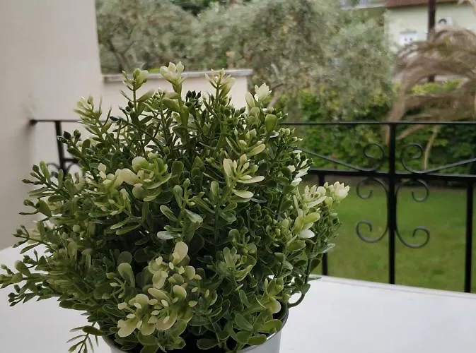 Estrella Del Mar Hotell Skala Potamia (Thasos)