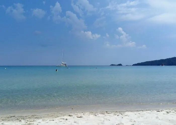 Estrella Del Mar
