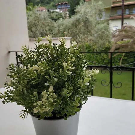Estrella Del Mar Hotel Skala Potamia (Thasos)