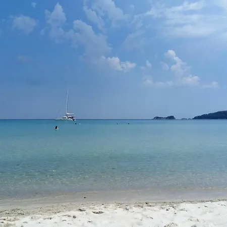 Estrella Del Mar