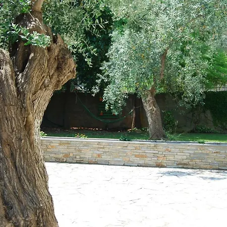 Estrella Del Mar