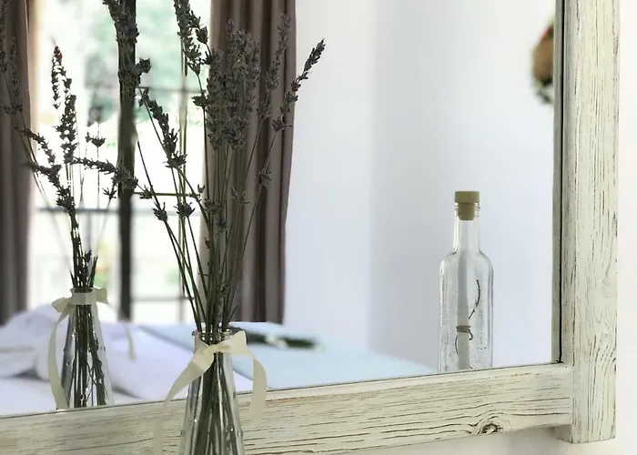 Hotel Estrella Del Mar *